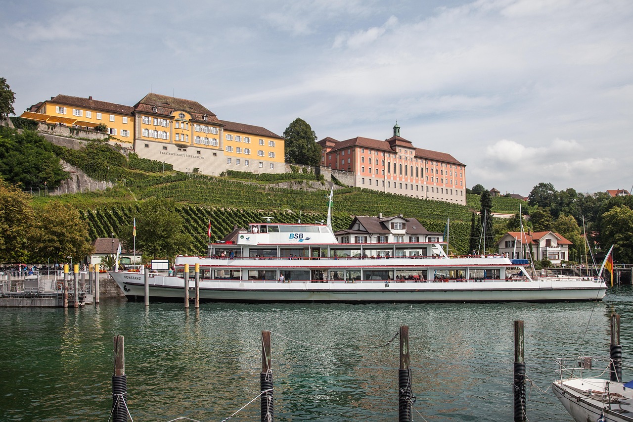 Proyecto 9 - Vista 1